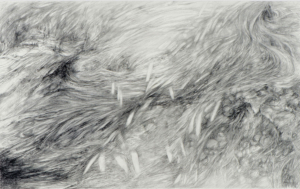 The Littoral | The Zone Between The Littoral the zone 2016 exhibition by Jennifer Andrews